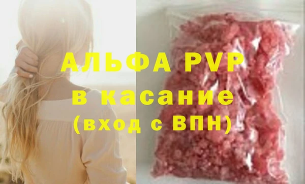ECSTASY Белокуриха