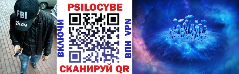 как найти наркотики  Щучье  Псилоцибиновые грибы ЛСД 